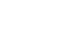 ANSI logo - white